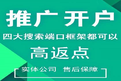 SEM广告投放案例：揭秘高转化率秘诀
